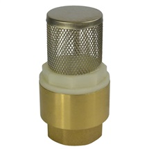 Brass check valve with s.s. sieve